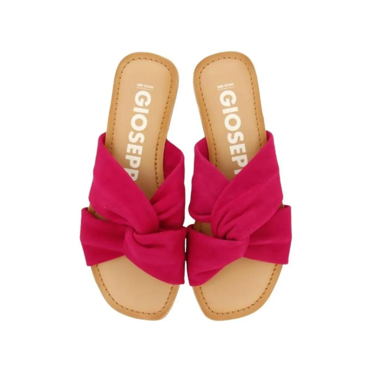 72049FUXIA