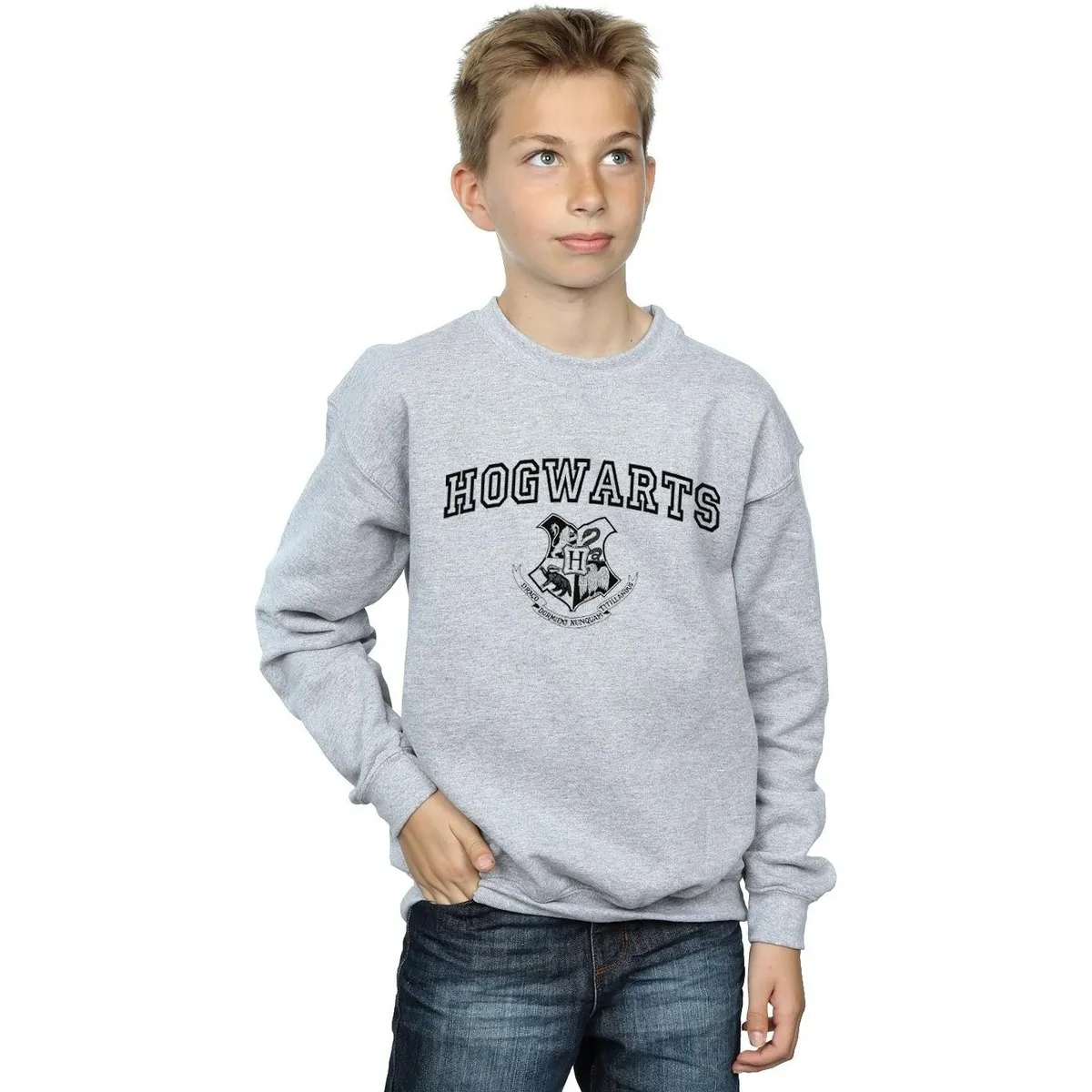 Hogwarts Crest