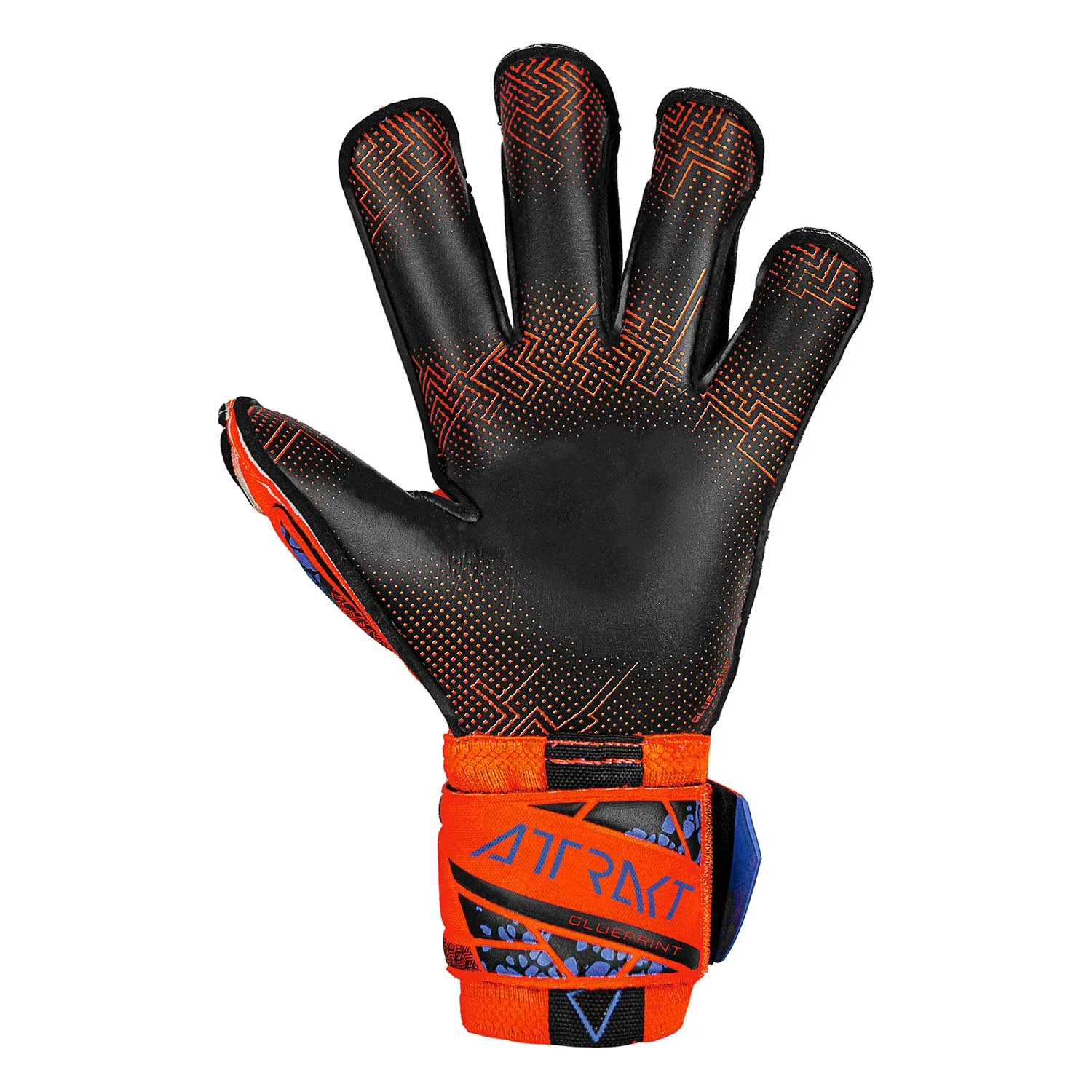 Reusch Attrakt Gold X Evolution Glueprint