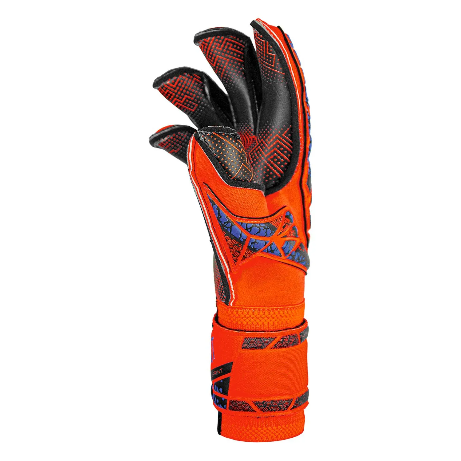 Reusch Attrakt Gold X Evolution Glueprint