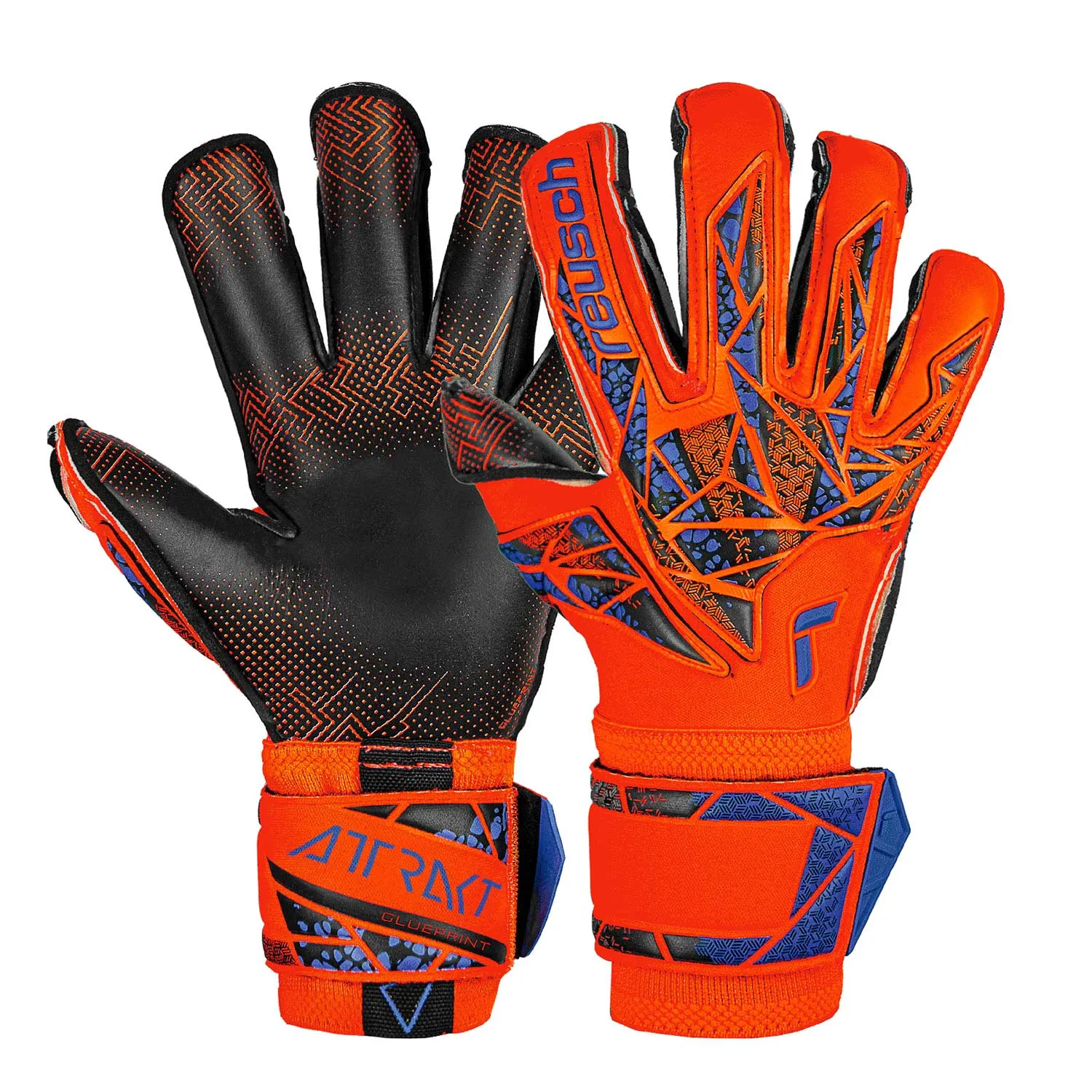 Reusch Attrakt Gold X Evolution Glueprint
