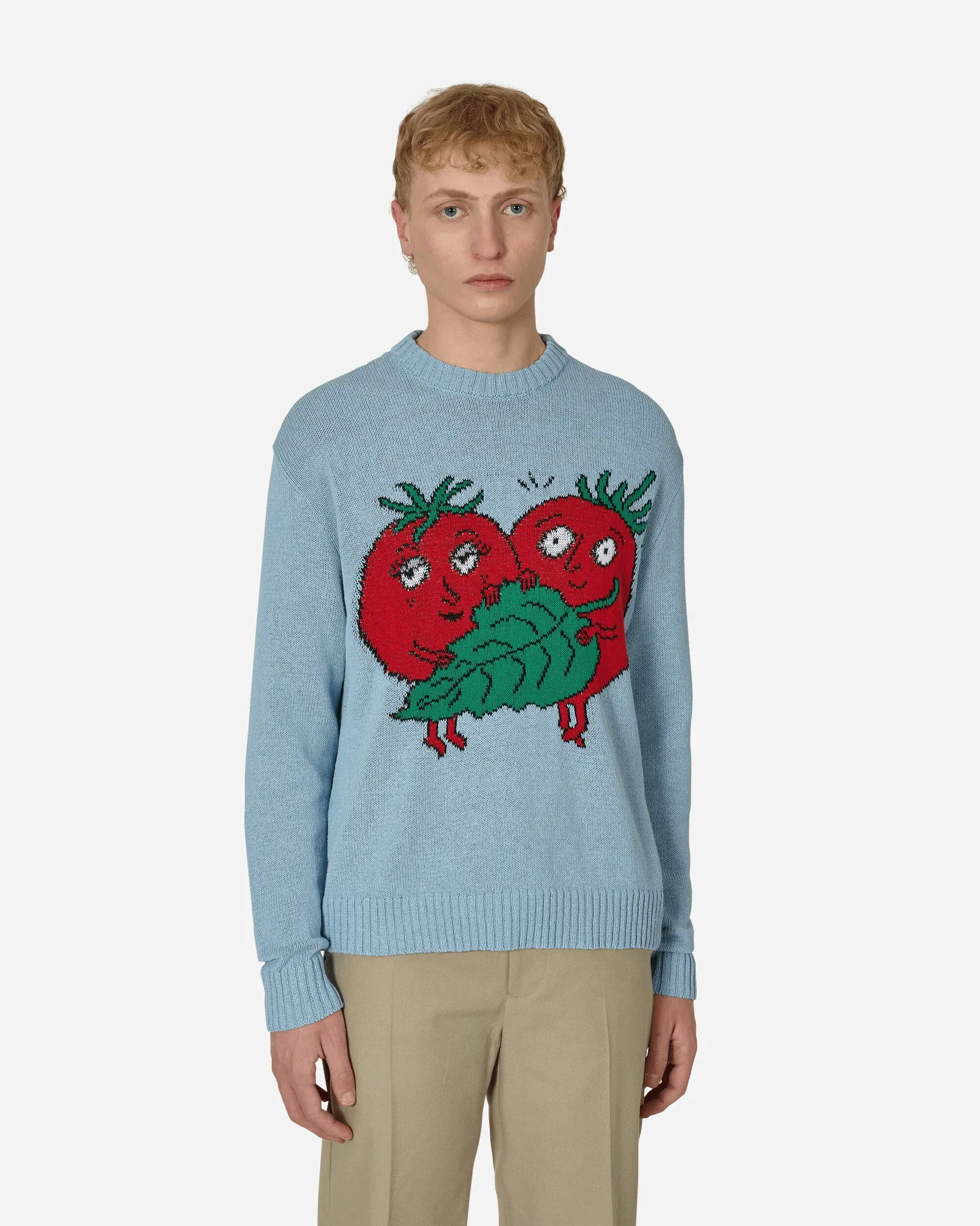 Sky High Farm Recycled Cotton Intarsia Knit Sweater