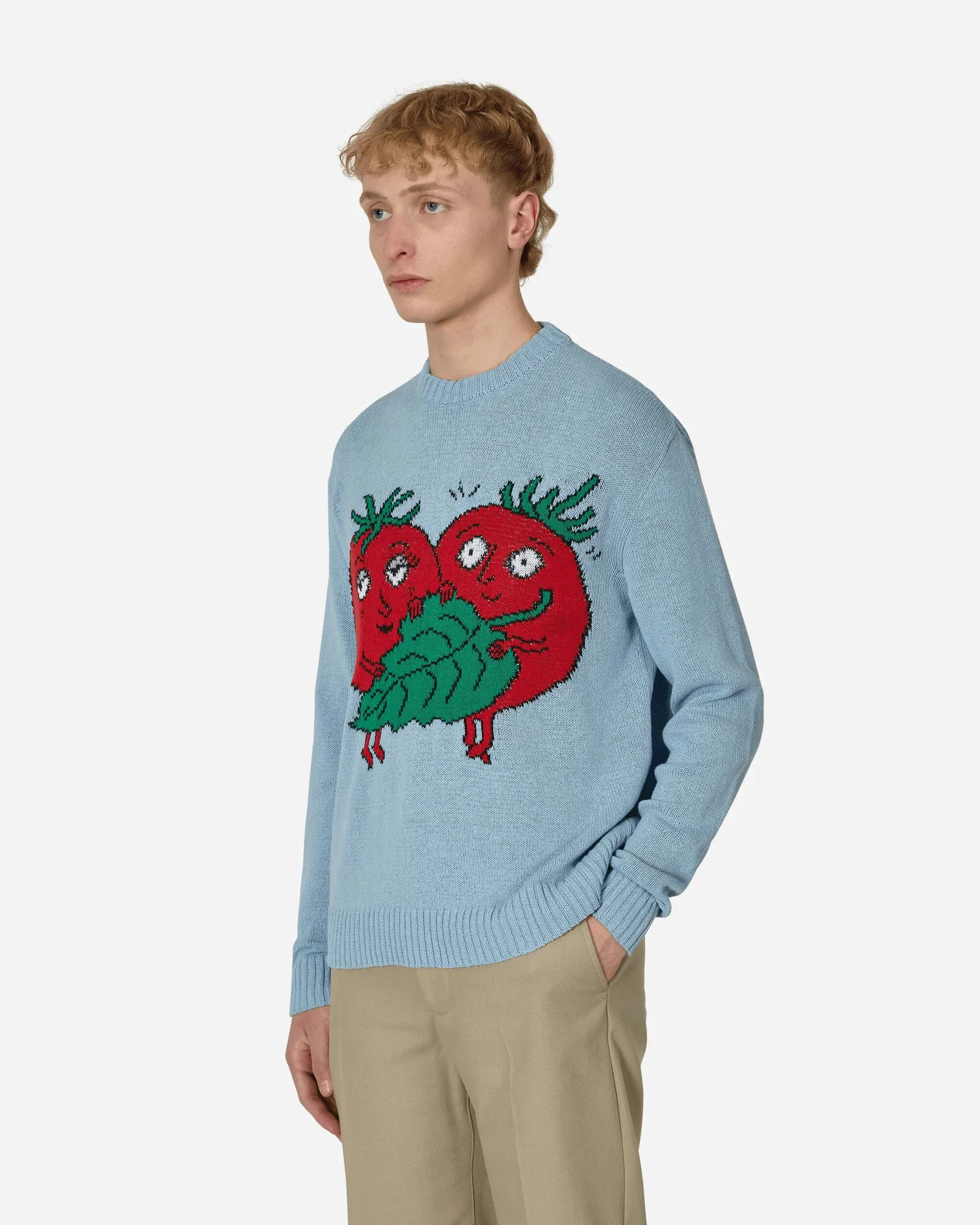 Sky High Farm Recycled Cotton Intarsia Knit Sweater