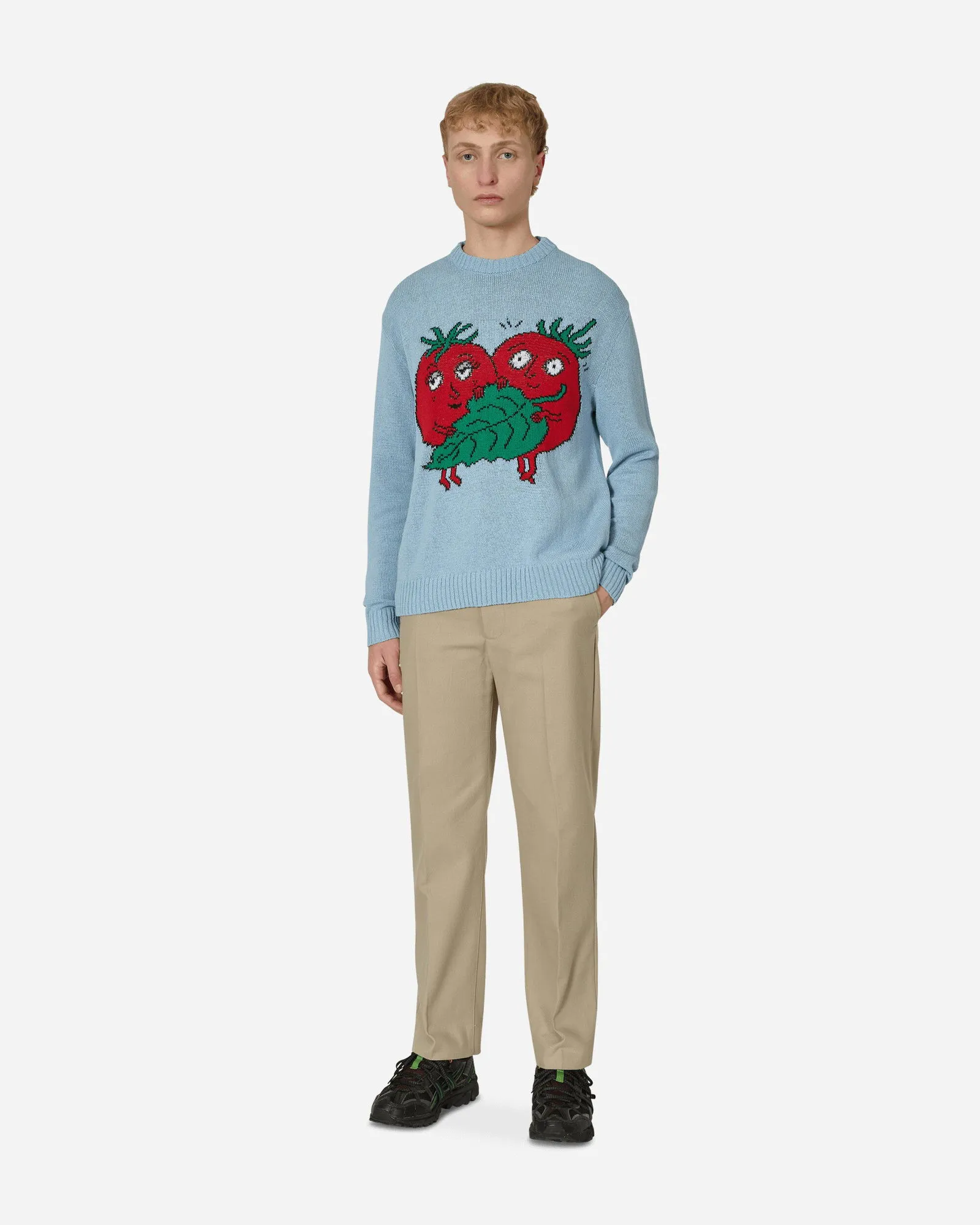 Sky High Farm Recycled Cotton Intarsia Knit Sweater