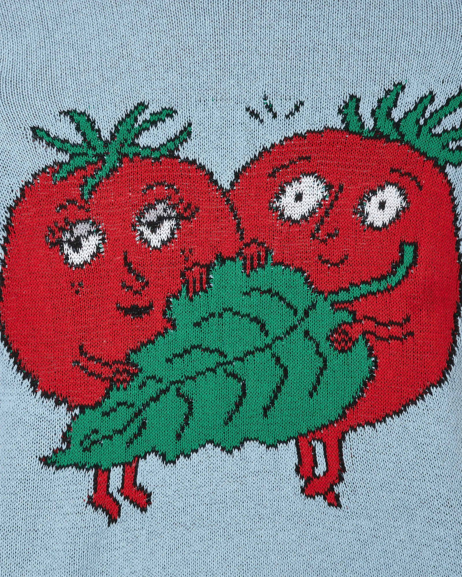 Sky High Farm Recycled Cotton Intarsia Knit Sweater