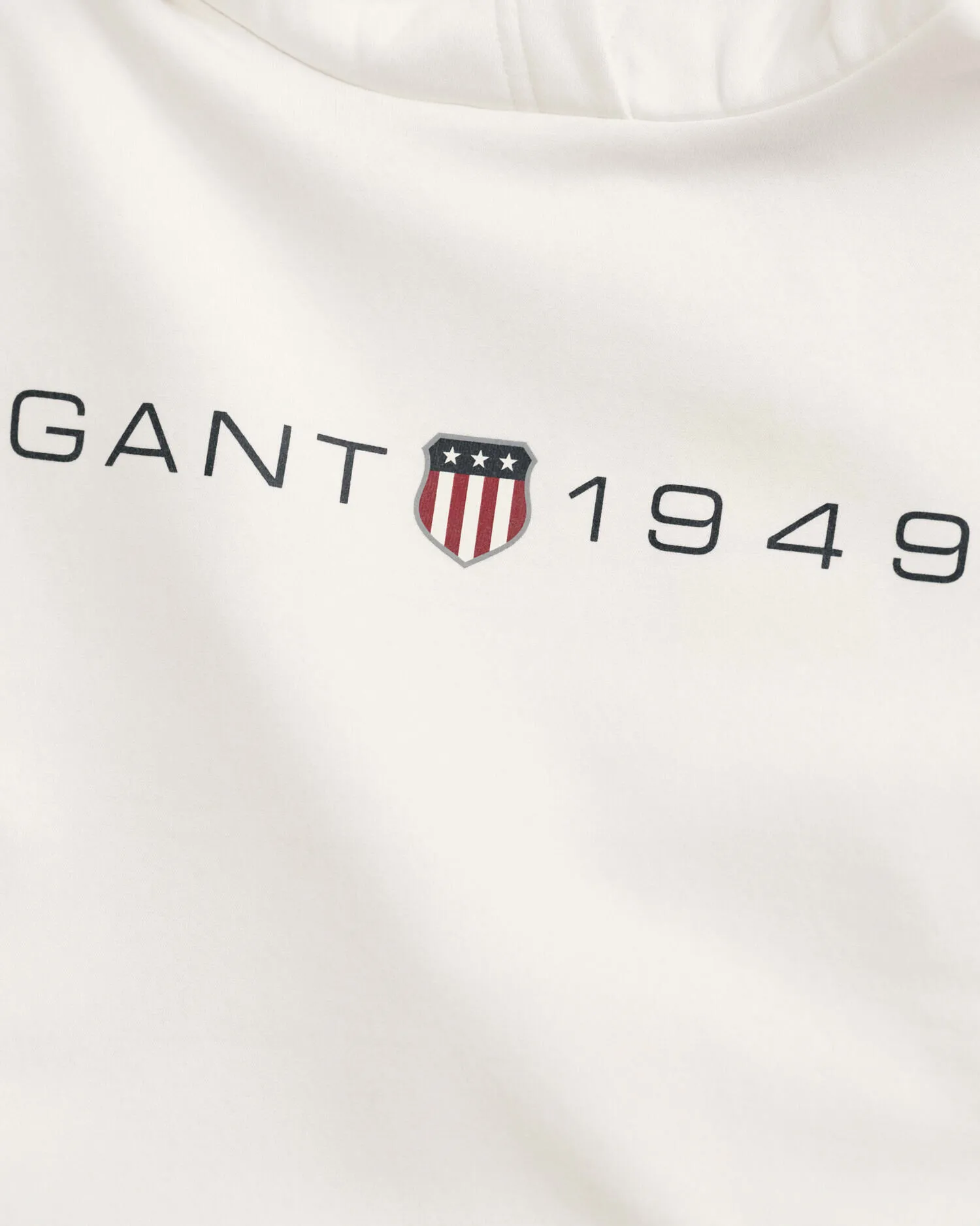 Sudadera con capucha estampada Archive Shield